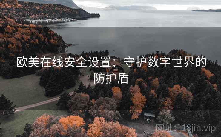 欧美在线安全设置：守护数字世界的防护盾