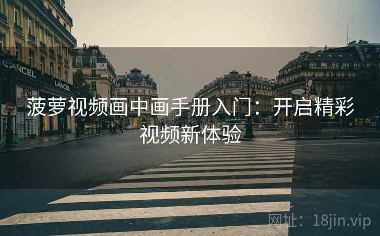 菠萝视频画中画手册入门：开启精彩视频新体验
