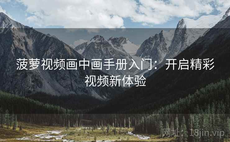 菠萝视频画中画手册入门：开启精彩视频新体验