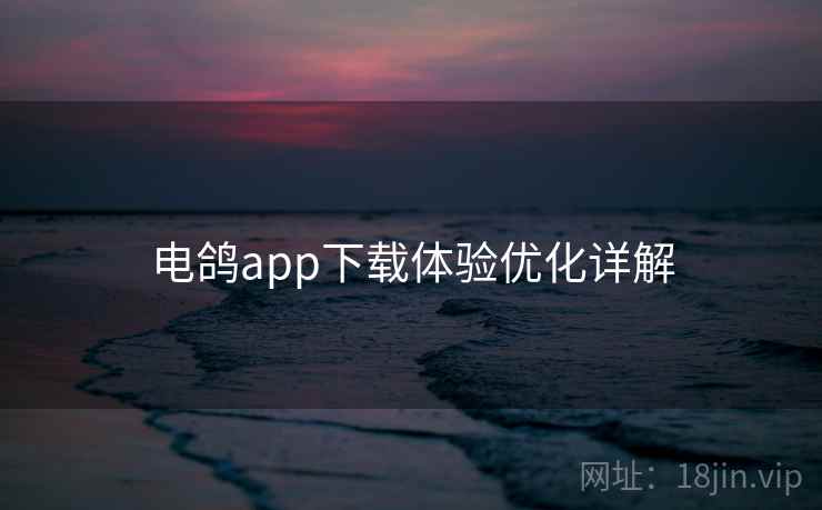 电鸽app下载体验优化详解