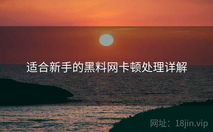 适合新手的黑料网卡顿处理详解