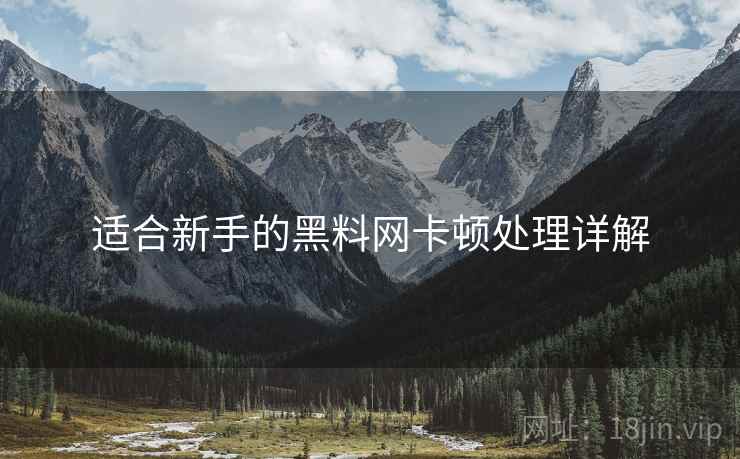 适合新手的黑料网卡顿处理详解