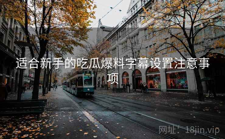 适合新手的吃瓜爆料字幕设置注意事项
