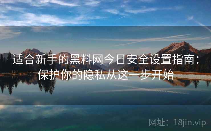 适合新手的黑料网今日安全设置指南：保护你的隐私从这一步开始