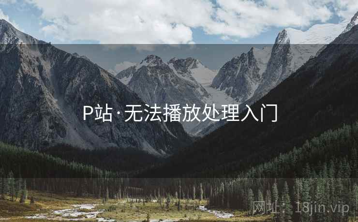 P站·无法播放处理入门