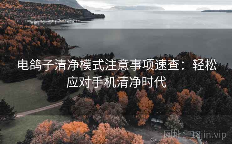 电鸽子清净模式注意事项速查：轻松应对手机清净时代