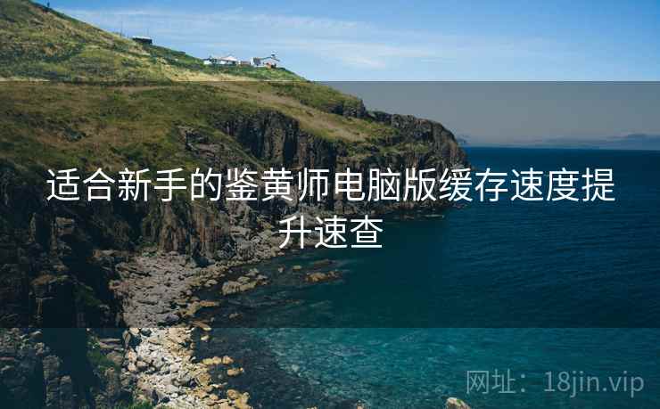 适合新手的鉴黄师电脑版缓存速度提升速查