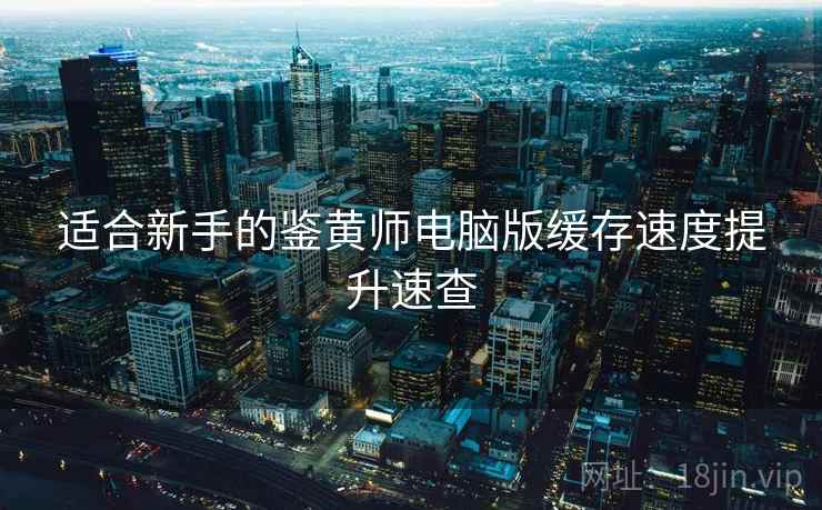 适合新手的鉴黄师电脑版缓存速度提升速查