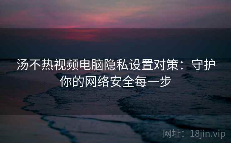 汤不热视频电脑隐私设置对策：守护你的网络安全每一步