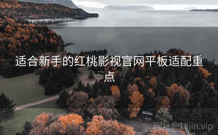 适合新手的红桃影视官网平板适配重点
