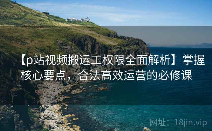【p站视频搬运工权限全面解析】掌握核心要点，合法高效运营的必修课
