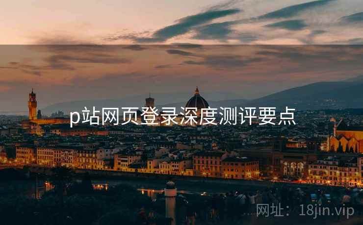 p站网页登录深度测评要点