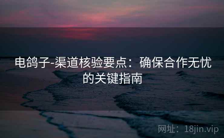 电鸽子-渠道核验要点：确保合作无忧的关键指南