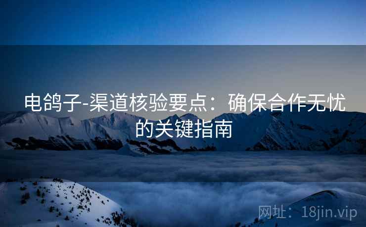 电鸽子-渠道核验要点：确保合作无忧的关键指南