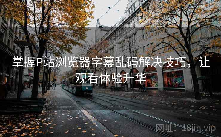 掌握P站浏览器字幕乱码解决技巧，让观看体验升华