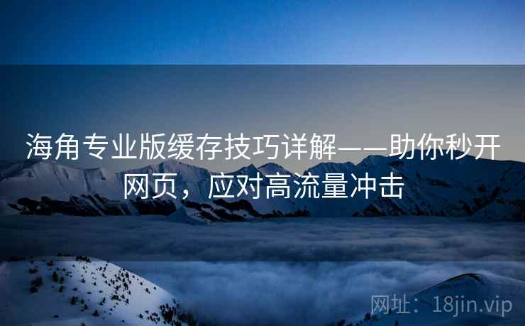 海角专业版缓存技巧详解——助你秒开网页，应对高流量冲击