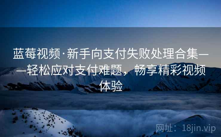 蓝莓视频·新手向支付失败处理合集——轻松应对支付难题，畅享精彩视频体验