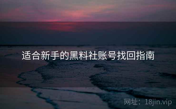 适合新手的黑料社账号找回指南