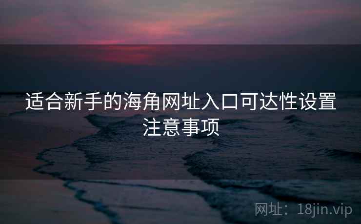 适合新手的海角网址入口可达性设置注意事项