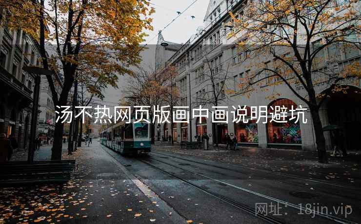 汤不热网页版画中画说明避坑 汤不热网页版画中画说明避坑