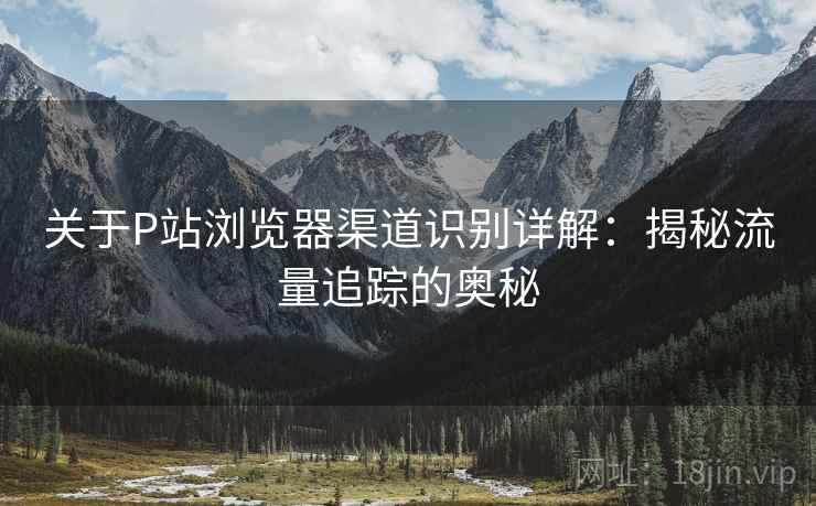 关于P站浏览器渠道识别详解：揭秘流量追踪的奥秘