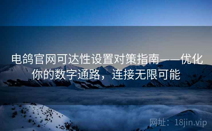 电鸽官网可达性设置对策指南——优化你的数字通路，连接无限可能