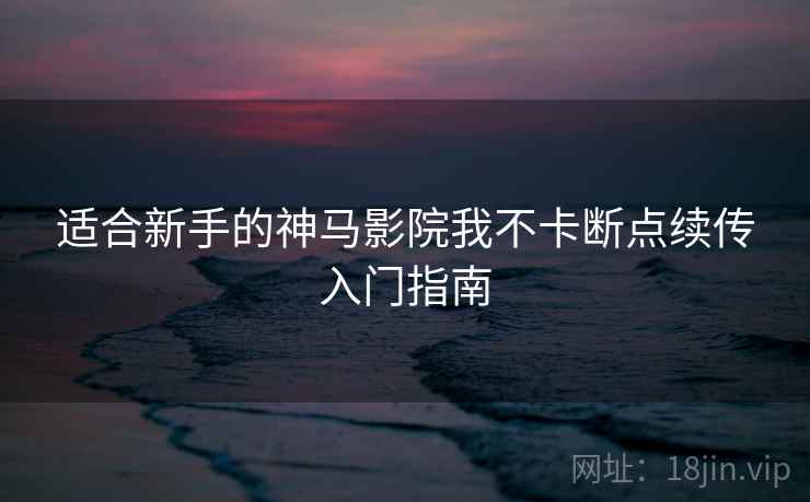 适合新手的神马影院我不卡断点续传入门指南