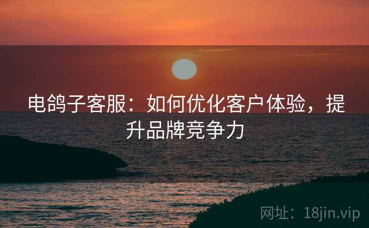 电鸽子客服：如何优化客户体验，提升品牌竞争力