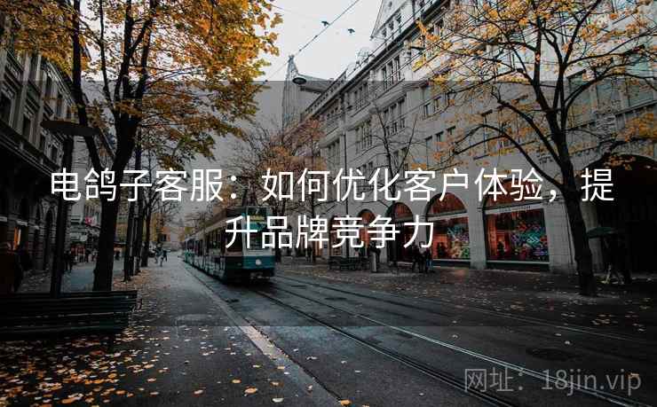 电鸽子客服：如何优化客户体验，提升品牌竞争力