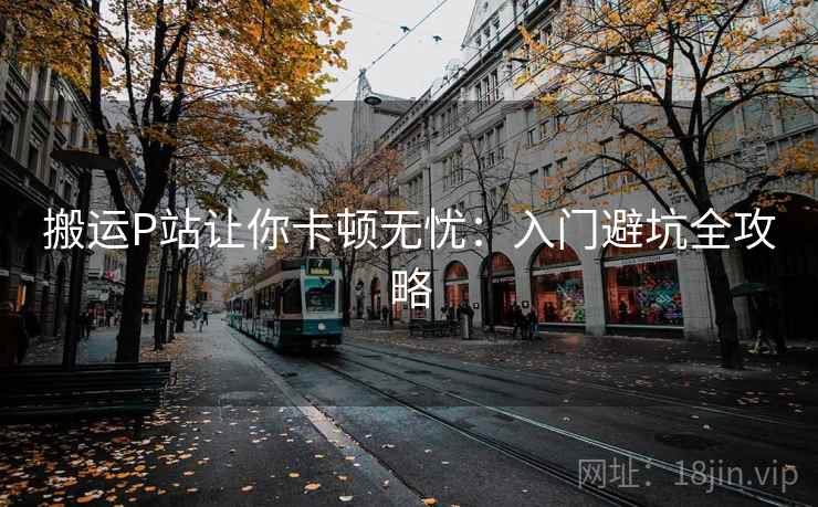 搬运P站让你卡顿无忧：入门避坑全攻略