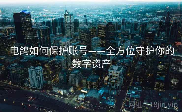 电鸽如何保护账号——全方位守护你的数字资产