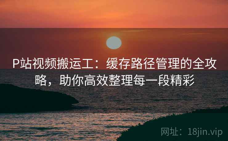 P站视频搬运工：缓存路径管理的全攻略，助你高效整理每一段精彩